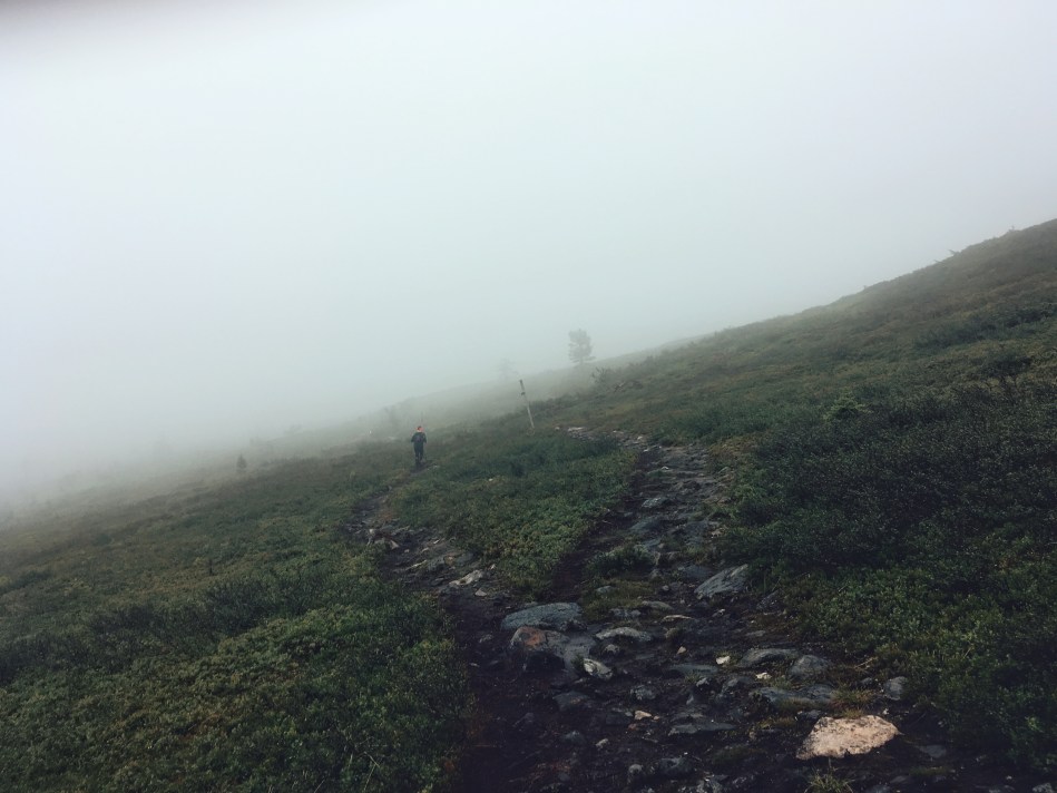 Photo 16.7.2016 13.16.40