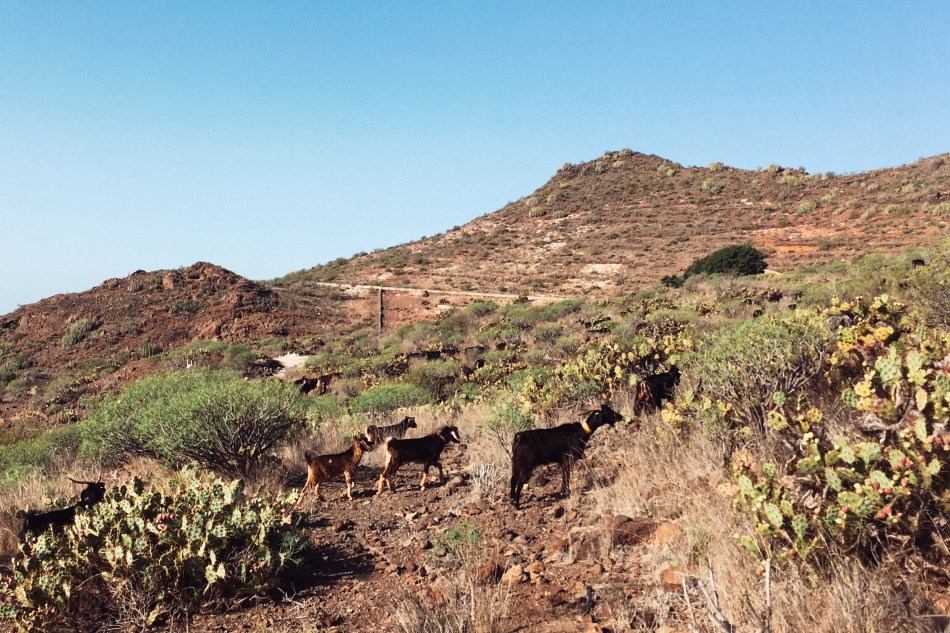 Photo 17.11.2016 11.44.02.jpg