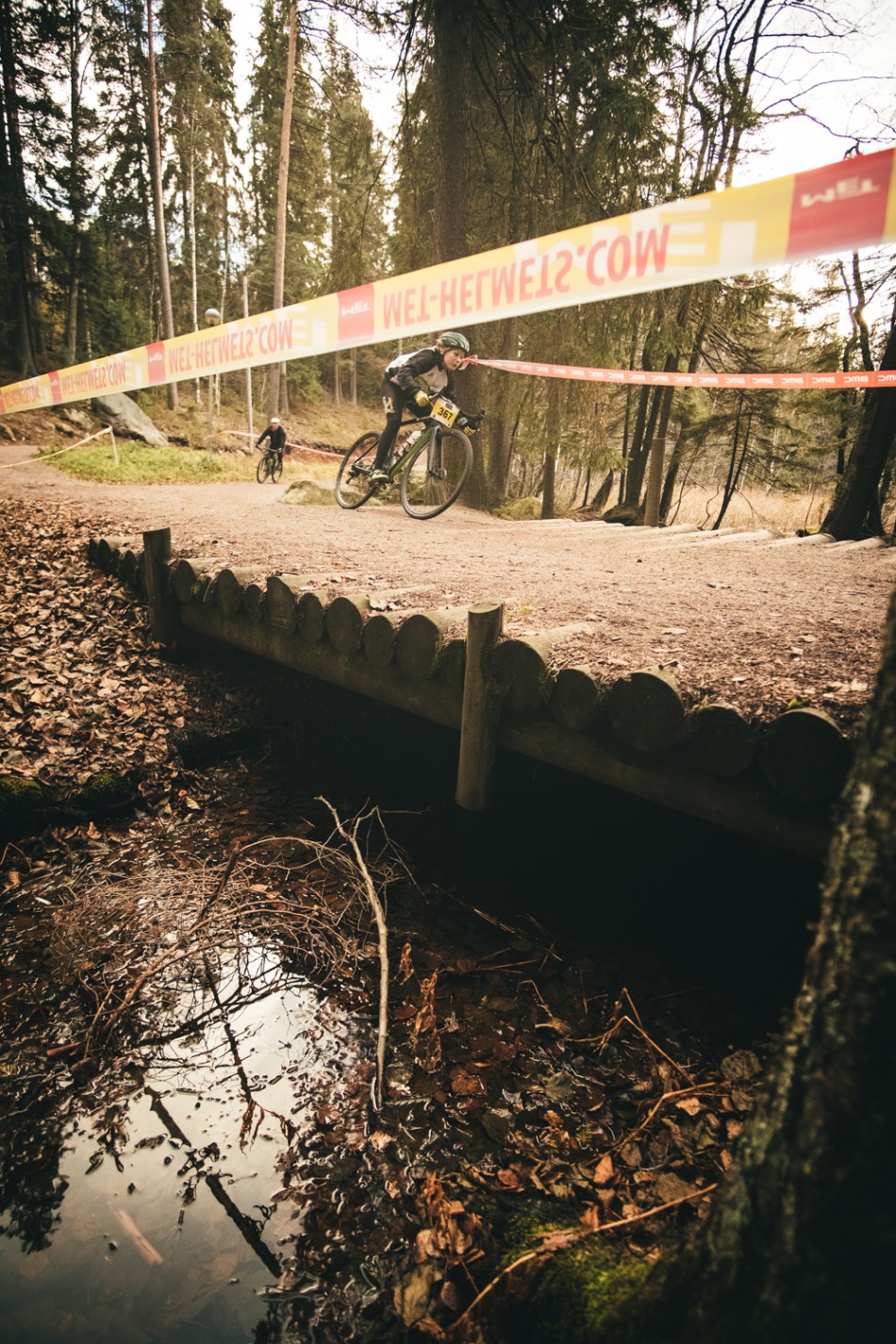 ToniToni_kuusis_2018-10