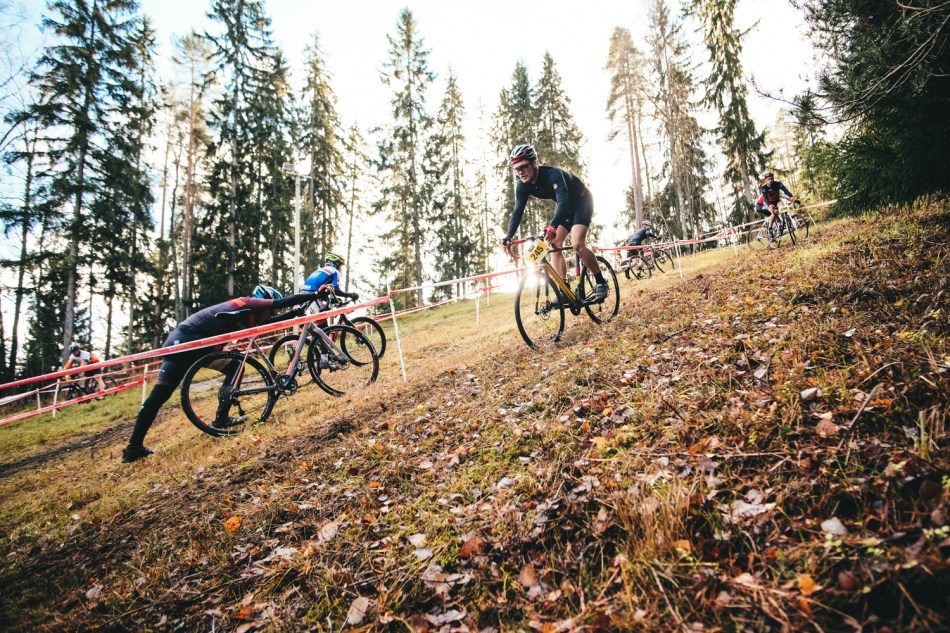 ToniToni_kuusis_2018-6